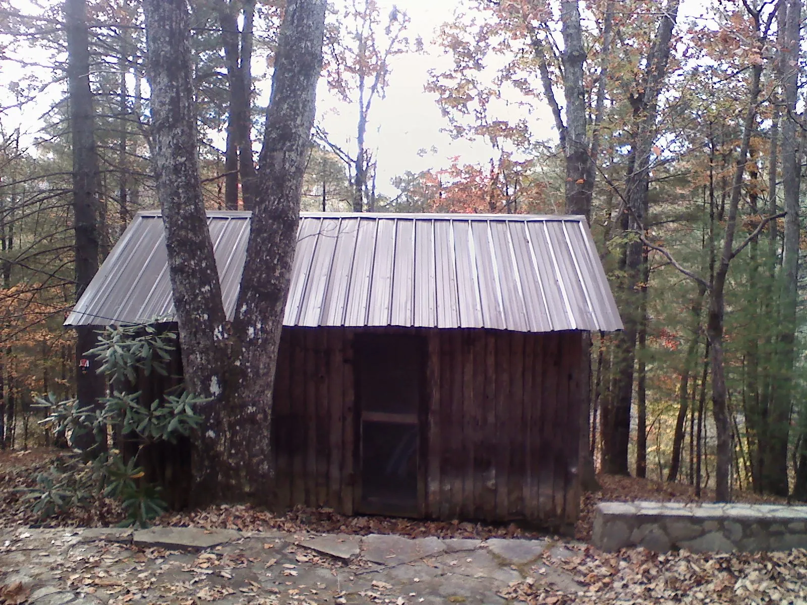 New metal gable roof on a small log shed among the trees in Bertram